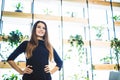 Young business woman near the window in the office in front of flowers Royalty Free Stock Photo