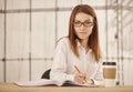 Young business woman writing in office. Royalty Free Stock Photo