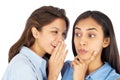 Young business women gossiping. Royalty Free Stock Photo