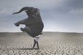 Young businessman with elephant on dry soil Royalty Free Stock Photo