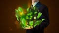 Young businessman presenting eco green leaf recycle energy concept Royalty Free Stock Photo