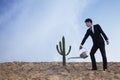 Young businessman watering a cactus in the desert