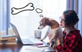 Businesswoman at home interior with dog