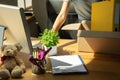 A young businesswoman moving in office, getting new work place