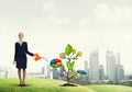 Young businesswoman outdoors watering drawn growth concept with can Royalty Free Stock Photo