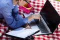 Young businesswoman working on laptop during picnic Royalty Free Stock Photo