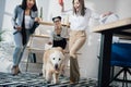 Young businesswomen playing with golden retriever dog in modern office