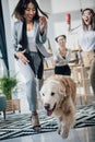 Young businesswomen playing with golden retriever dog in modern office