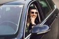 Young bussinesman in suit and black glasses driving his car. Bussines look. Test drive of the new car Royalty Free Stock Photo