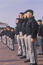 Young Cadets Saluting Royalty Free Stock Photo