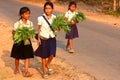 Young Cambodian students