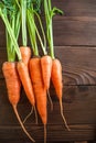 Young carrots with tops. Fresh ripe vegetables close-up. Abundance of farm products and copy space