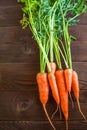 Young carrots with tops. Fresh ripe vegetables close-up. Abundance of farm products and copy space