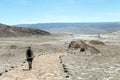 Young casual man walking on the path at lagunas Escondidas of Baltinache in Atacama Desert, Chile, South America Royalty Free Stock Photo