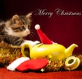 Young cat playing with christmas ornaments Royalty Free Stock Photo