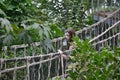 Caucasian brunette young lady nervous on a rope bridge in jungle