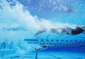 Young Caucasian female swimmers swimming in pool