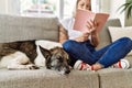 Young caucasian girl smiling happy sitting on the sofa with dog reading book at home Royalty Free Stock Photo