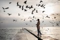 A young Caucasian girl in a stylish coat and hat walks along the pier by the sea and feeds the seagulls. A flock of birds is