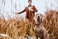 Young male hunter on the hunting field with hunter dog heading for hunt. Dog waiting for the shot Royalty Free Stock Photo