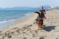 Young caucasian male playing with dog on beach. Man and dog having fun on seaside Royalty Free Stock Photo