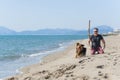 Young caucasian man playing with dog on beach. Man and dog having fun on seaside Royalty Free Stock Photo