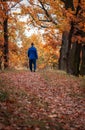 Young caucasian man walking in colorful autumn path alley tree