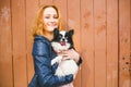 Young caucasian red-haired woman holding a dog of Chihuahua breed on her hands on a wooden background. The theme of love for Royalty Free Stock Photo