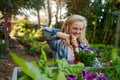 Young caucasian woman in checked shirt using spade on flowers near plants in plant nursery Royalty Free Stock Photo