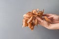 Young caucasian woman florist holds in hand bouquet made of tree branches with dry golden leaves on gray wall. Thanksgiving