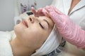 young caucasian woman getting facial spa massage at spa salon Royalty Free Stock Photo