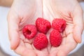 Young Caucasian Woman Girl Holds in Hands Handful of Organic Freshly Picked Ripe Raspberries in Garden. Summer Harvest Vegan Royalty Free Stock Photo