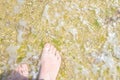 Young Caucasian Woman Girl Stand Barefooted in Crystal Clear Sea on Rocks with Green Seaweeds. Bright Sunlight. Summer Vacation