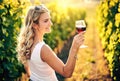 Young caucasian woman holding a glass of red wine in vineyard on sunny day, back view - Vinification, vine-growing and wine- Royalty Free Stock Photo