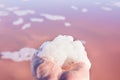 Young Caucasian Woman Holding in Hand Soapy Salty Foam of Unique Pink Salt Lake. Panoramic Scenery Pastel Colors. Travel Wildlife