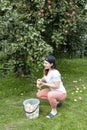 Young caucasian woman picking apples in the garden Royalty Free Stock Photo