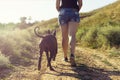 Young caucasian woman running along a dirt road uphill next to her dog at sunset in summer. Back to camera