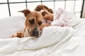 Young caucasian woman sleeping lying on bed with dog at bedroom Royalty Free Stock Photo