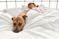 Young caucasian woman sleeping lying on bed with dog at bedroom Royalty Free Stock Photo