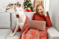 Young caucasian woman using laptop and talking on the smartphone sitting with dog by christmas tree at home Royalty Free Stock Photo