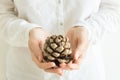Young caucasian woman in white clothes holds in hands beautiful big pine cone. Christmas New Years holiday magic atmosphere