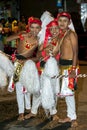 Young Chamara Dancers wait for the Esala Perahera to begin in Kandy in Sri Lanka.