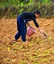 Young Chao Doi Agriculture.