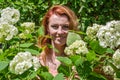 Young charming woman with long hair smiling happy in the bush of red roses Royalty Free Stock Photo