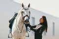 Young charming woman walking with white horse in summer warm day at country estate. Lifestyle mood. Concept of nature Royalty Free Stock Photo