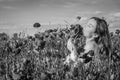 A young cheerful beautiful girl walks in a poppy meadow among red blooming poppies on a bright, hot, sunny summer day Royalty Free Stock Photo