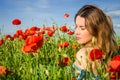 A young cheerful beautiful girl walks in a poppy meadow among red blooming poppies on a bright, hot, sunny summer day Royalty Free Stock Photo