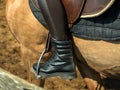 Young cheerful girl rides on a brown horse. Riding training. Horseback Riding. Stirrups close-up Royalty Free Stock Photo