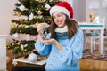 Portrait of happy pregnant woman wearing Santa hat and holding bauble next to christmas tree Royalty Free Stock Photo