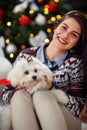 Young woman with her puppy Meltzer for Christmas Royalty Free Stock Photo